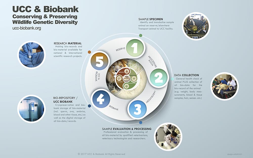 UCC & Biobank (infographic)